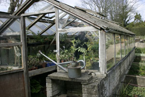 Green House